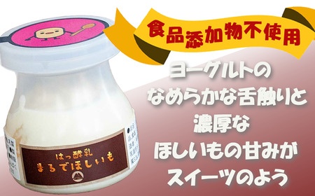 筑波ハム まるでほしいも×3個セット4箱 | ヨーグルト