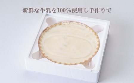 レアチーズケーキ ガトープーリアのジャージーレアチーズケーキ( プレーン )