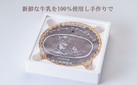 レアチーズケーキ ガトープーリアのジャージーレアチーズケーキ（ ブルーベリー ）