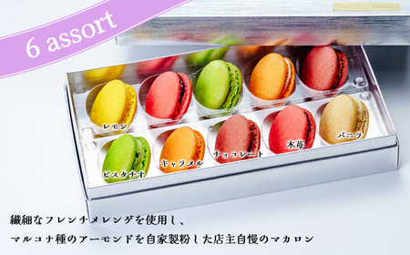 マカロン パティスリーアルビ マカロン詰め合わせ 10個入