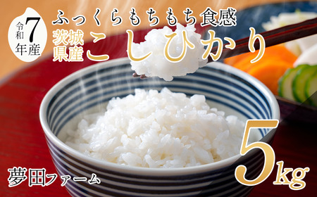 米 【 令和7年産 コシヒカリ5kg 】 夢田ファーム コシヒカリ
