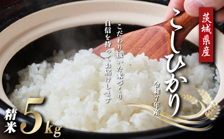 米 こしひかり 令和7年産 コシヒカリ 精米 5kg