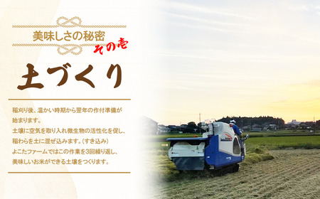 ☆令和7年産☆ コシヒカリ(精米)　10kg | 米 こしひかり