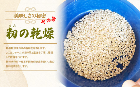 ☆令和7年産☆ コシヒカリ(精米)　10kg | 米 こしひかり