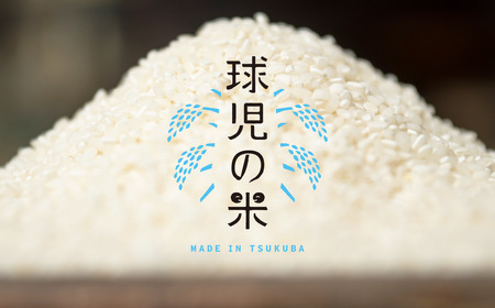 白米 10kg 令和7年産 ミルキークイーン