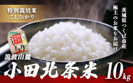 令和7年産 特別栽培米コシヒカリ10kg 米
