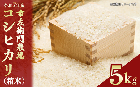 令和7年産 市左衛門農場コシヒカリ5kg(精米) スピード発送 こしひかり