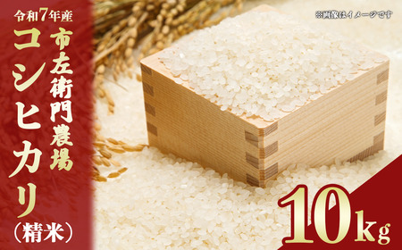 令和7年産 市左衛門農場コシヒカリ10kg(精米) スピード発送 こしひかり