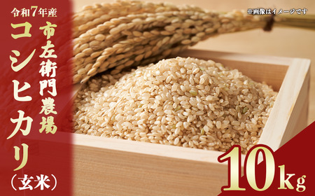 令和7年産 市左衛門農場コシヒカリ10kg(玄米) スピード発送 こしひかり