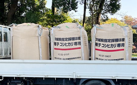 【定期便】令和7年産 市左衛門農場コシヒカリ5kg×3回 こしひかり