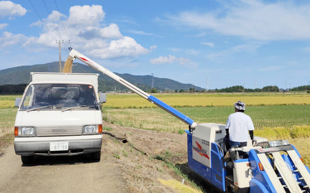 【定期便】令和7年産 市左衛門農場コシヒカリ5kg×3回 こしひかり