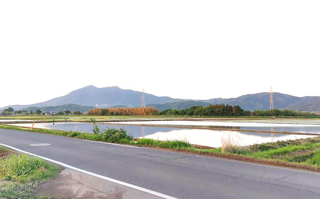 【定期便】令和7年産 市左衛門農場コシヒカリ10kg×6回 こしひかり