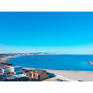 丸徳詰め合わせ～あん肝あんこう鍋2～3人前・ほしいも紅はるか・常陸牛ステーキ～_魚介・海産物  鮮魚   野菜 さつまいも いも サツマイモ 薩摩芋  肉 常陸牛 牛肉 うし ビーフ_【配送不可地域：離島】【1479683】