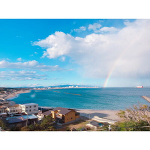 丸徳詰め合わせ～ほしいも紅はるか・常陸牛ステーキ～_野菜 さつまいも いも サツマイモ 薩摩芋  肉 常陸牛 牛肉 うし ビーフ_【配送不可地域：離島】【1479686】