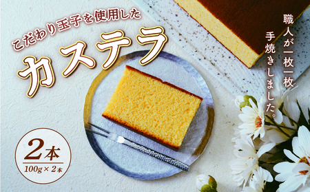 【職人が手焼き・地元で人気の阪場のカステラ】2本セット_菓子・スイーツ カステラ  _【1583182】
