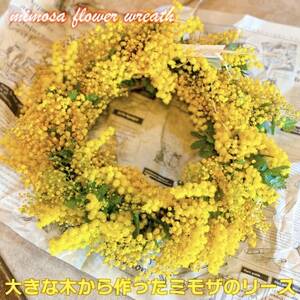 (3月発送)大きな木から作ったミモザのリース【限定品】おしゃれなお花をインテリア壁飾りプレゼントに!_花・観葉植物  花 _【配送不可地域：離島】【1582063】