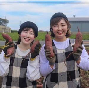 【先行受付/11月下旬～発送】(訳あり)茨城県産 熟成貯蔵 さつまいも 紅はるか 土付5kg(箱込)【1631631】