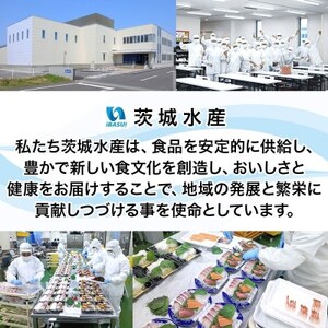 無地熨斗 紅鮭スモークサーモン姿切り 500g×1パック お取り寄せグルメ カルパッチョ おつまみ【配送不可地域：離島】【1639096】