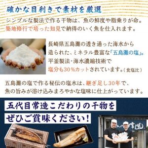 訳あり干物セット 家庭用 約1kg【配送不可地域：離島】【1662642】