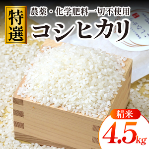 【特別栽培米】コシヒカリ　茨城県産　白米　約4.5kg【1663956】