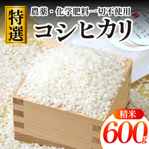【特別栽培米】コシヒカリ　茨城県産　白米　600g　ギフトにおすすめ【1670035】