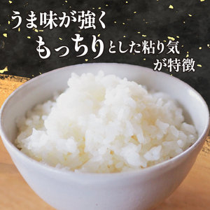 【特別栽培米】コシヒカリ　茨城県産　白米　600g　ギフトにおすすめ【1670035】