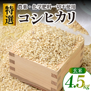 【特別栽培米】コシヒカリ　茨城県産　玄米　4.5kg【1670040】