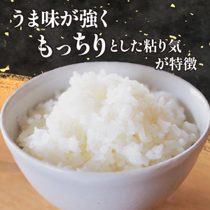 【特別栽培米】コシヒカリ　茨城県産　玄米　4.5kg【1670040】