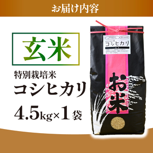 【特別栽培米】コシヒカリ　茨城県産　玄米　4.5kg【1670040】