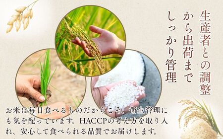 にじのきらめき(精米) 5kg  | お米 精米 茨城県 ひたちなか市