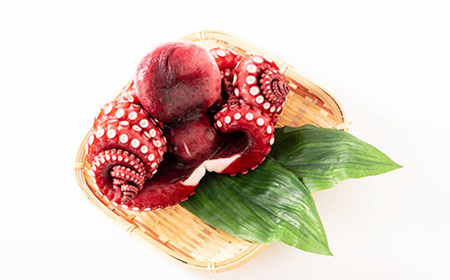 【冷蔵でお届け!】蒸し蛸 まるごと1尾(約1kg)おかずの一品やお酒のお供にもどうぞ!_魚介・海産物 タコ  たこ 蛸_【配送不可地域：離島】【1212079】