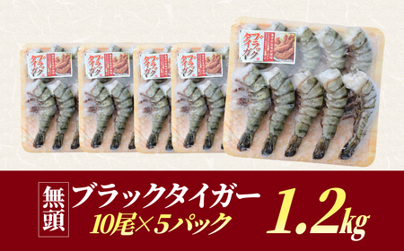 魚兵水産こだわりのブラックタイガー海老 10尾5パック(計1200g程度)_大ぶり エビ 海鮮 小分け_【配送不可地域:離島】【1215914】