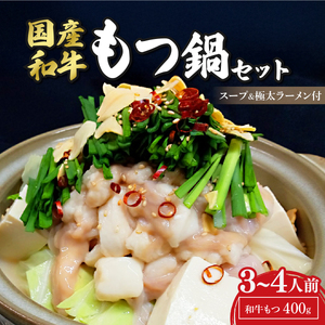 国産和牛もつ鍋セット(3～4人前)〆の極太ラーメン付_惣菜・加工品 肉 鍋 なべ ナベ_【配送不可地域：離島】【1263441】
