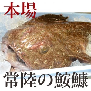 【3月発送】常陸名物 あんこう鍋セット(3~4人前)_魚介・海産物 _【配送不可地域:離島】【1276061】