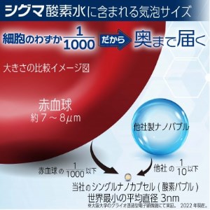 【酸素ナノバブル水】　シグマ酸素水　10リットル×1箱_飲料・ドリンク 水・ミネラルウォーター    飲料・ドリンク  ジュース _【1315005】