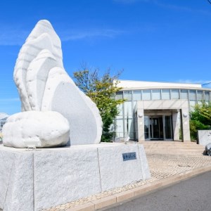 百年干しいも焼酎　720ml×1本_酒・アルコール 芋焼酎 焼酎 _【1323737】