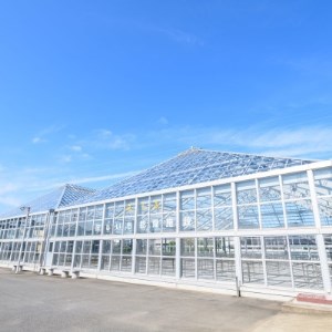 百年干しいも焼酎　720ml×1本_酒・アルコール 芋焼酎 焼酎 _【1323737】