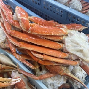 ボイルズワイパック 5L3肩 1kg【1349675】