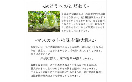 【期間限定】極マスカット大福　6個入 （KF-14）