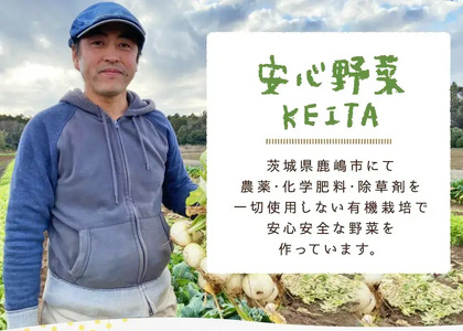 【先行予約】にんじん 5kg 旬の安心野菜【人参 ニンジン 無農薬 有機 栽培 野菜 サラダ 料理 オーガニック 数量 限定 人気 栄養 茨城県 鹿嶋市】 (KAX-15)