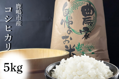 【令和5年産】安心安全のお米！特別栽培米コシヒカリ（5kg）（KAV-1）