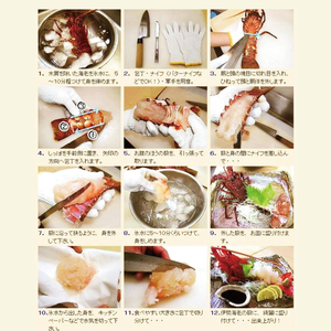 【漁師直送／生】伊勢海老 （1kg／2〜5本） 伊勢エビ (KBL-22)