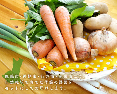 【共通返礼品】自然栽培野菜10～12品目(KBE-1)