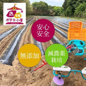 鹿嶋市産！鹿畑ポテト小屋の紅はるか ペット用 おやつ干し芋 合計1kg【数量限定 ほしいも 干芋 さつまいも サツマイモ 鹿嶋市 茨城県 15000円以内】（KBR-19）