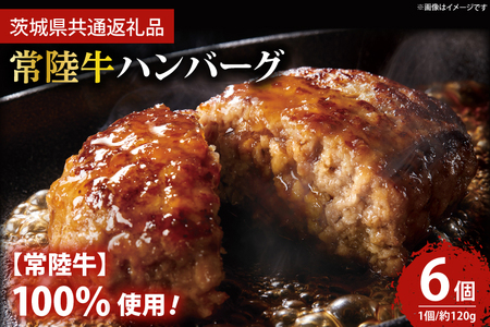 常陸牛100％ ハンバーグ 約120g×6個【茨城県共通返礼品・茨城県産】 【牛肉 国産牛 黒毛和牛 和牛 国産黒毛和牛 ブランド牛肉 ブランド牛 お肉 A4ランク A5ランク 鹿嶋市 鹿嶋 茨城県】(KCW-9)