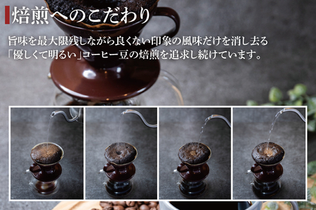 2025年度限定　ふるさと納税専用コーヒー豆　KASHIMA 12 アロマ・ビターブレンド飲み比べセット　豆のまま 1kg(500g×2回発送)（KV-143）