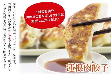 【先行予約】【セット販売】太助レンコン&蓮根肉餃子のおばけん 【4kg&40粒】【野菜 ギョーザ れんこん しゃきしゃき おいしい 食べきり 茨城県 鹿嶋市】（KBU-6）
