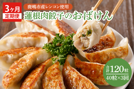 【3ヶ月定期便】蓮根肉餃子のおばけん【40粒×3回】【野菜 ギョーザ れんこん しゃきしゃき おいしい ストック 茨城県 鹿嶋市】（KBU-25）