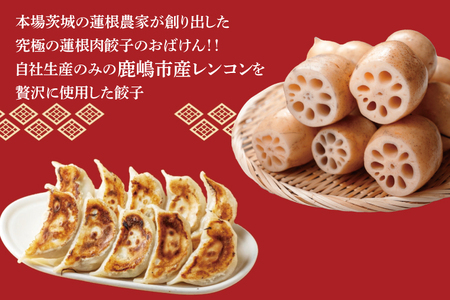 【3ヶ月定期便】蓮根肉餃子のおばけん【40粒×3回】【野菜 ギョーザ れんこん しゃきしゃき おいしい ストック 茨城県 鹿嶋市】（KBU-25）