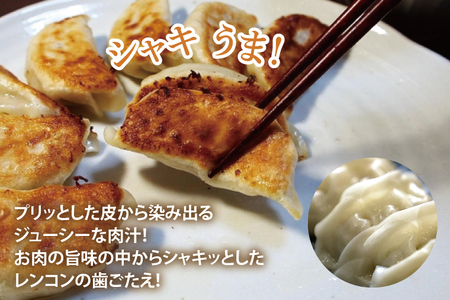 【3ヶ月定期便】蓮根肉餃子のおばけん【70粒×3回】【野菜 ギョーザ れんこん しゃきしゃき おいしい ストック 茨城県 鹿嶋市】（KBU-22）